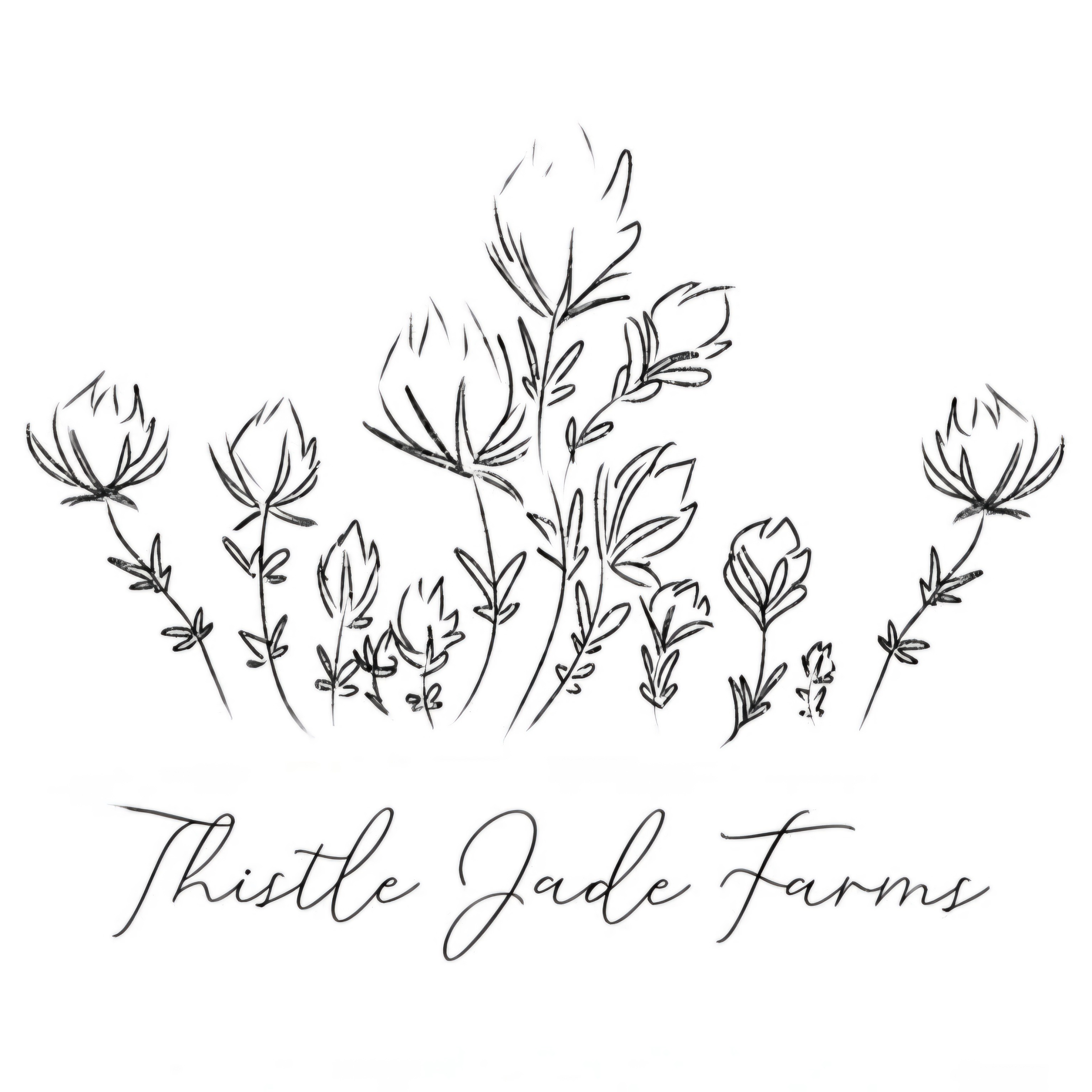 Thistle Jade Farms logo