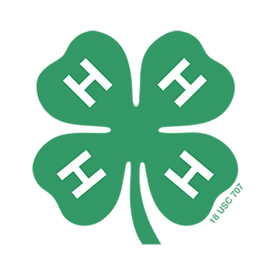 Benton County Indiana Fair logo