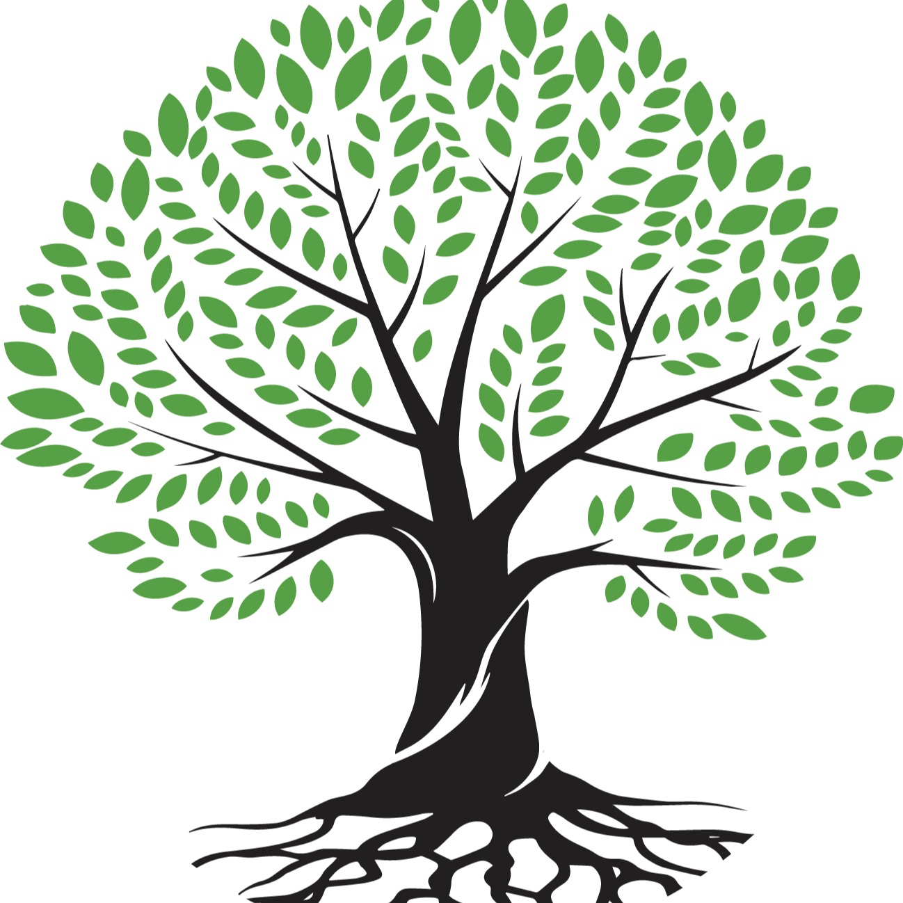 Community Foundation Partnership logo
