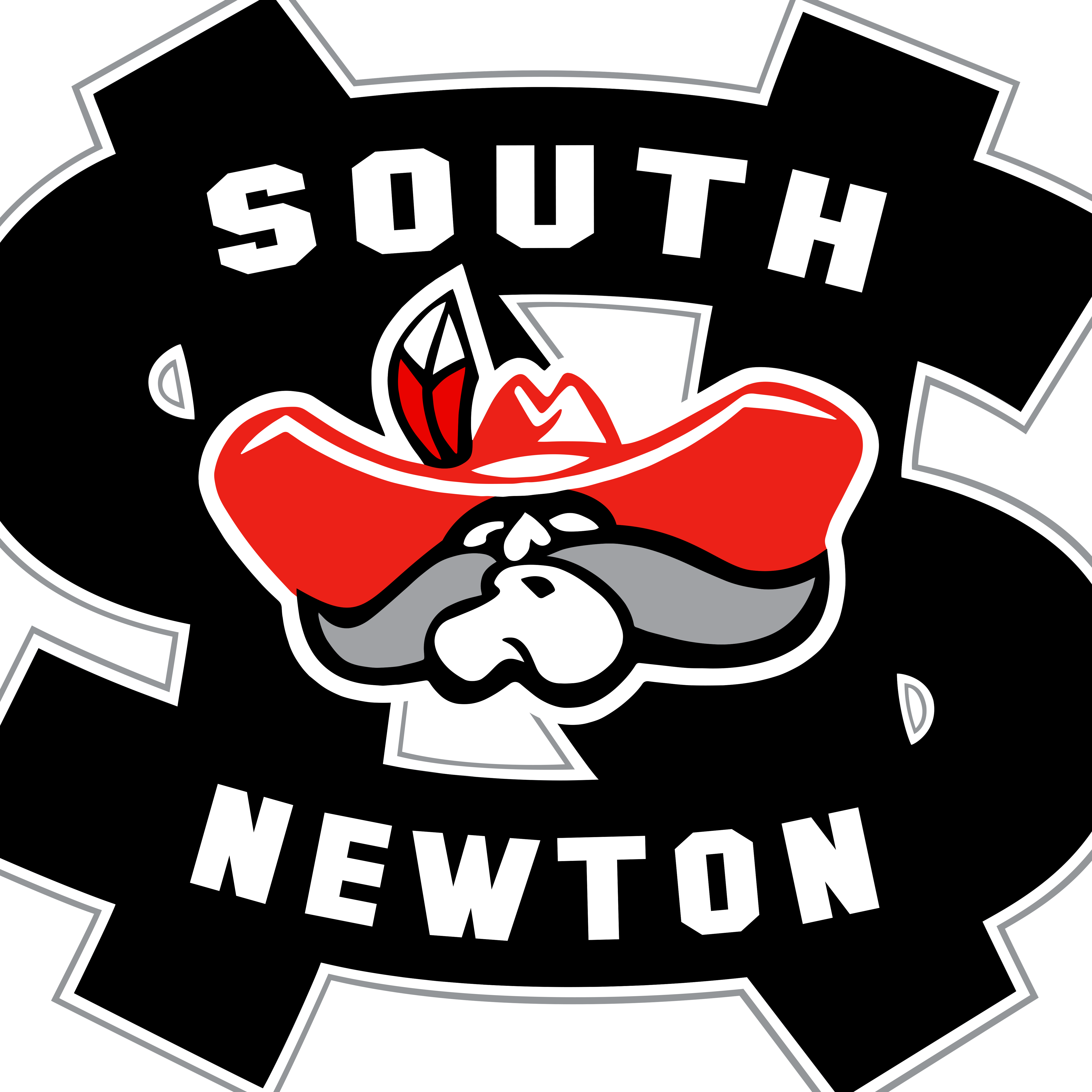 South Newton School Corporation logo